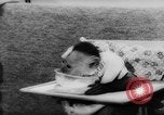 Image of pet monkey Germany, 1962, second 30 stock footage video 65675052199