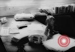 Image of pet monkey Germany, 1962, second 34 stock footage video 65675052199