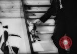 Image of pet monkey Germany, 1962, second 40 stock footage video 65675052199