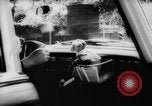 Image of pet monkey Germany, 1962, second 42 stock footage video 65675052199