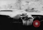 Image of pet monkey Germany, 1962, second 44 stock footage video 65675052199