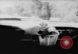 Image of pet monkey Germany, 1962, second 45 stock footage video 65675052199