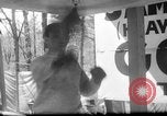 Image of Joe Louis fights in boxing bout Chicago Illinois USA, 1937, second 1 stock footage video 65675052201