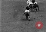 Image of golf match Westbury New York USA, 1929, second 46 stock footage video 65675052203