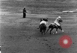 Image of golf match Westbury New York USA, 1929, second 48 stock footage video 65675052203