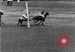 Image of golf match Westbury New York USA, 1929, second 61 stock footage video 65675052203