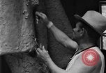 Image of sculpture of Woodrow Wilson San Antonio Texas USA, 1929, second 23 stock footage video 65675052206