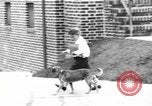 Immagine di I bambini della scuola entrano nelle scuole New York City USA, 1929, secondo 13 filmato di repertorio 65675052211