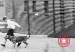 Immagine di I bambini della scuola entrano nelle scuole New York City USA, 1929, secondo 14 filmato di repertorio 65675052211
