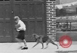 Immagine di I bambini della scuola entrano nelle scuole New York City USA, 1929, secondo 17 filmato di repertorio 65675052211