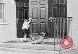 Immagine di I bambini della scuola entrano nelle scuole New York City USA, 1929, secondo 22 filmato di repertorio 65675052211