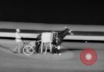 Standbild Kabelbaum Rennen Long Island New York USA, 1961, aus Sekunde 58 historischem Filmmaterial Videoclip 65675052221