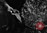 Standbild USA Soldaten Birma, 1944, aus Sekunde 12 historischem Filmmaterial Videoclip 65675052229