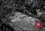 Standbild USA Soldaten Birma, 1944, aus Sekunde 25 historischem Filmmaterial Videoclip 65675052229
