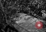Standbild USA Soldaten Birma, 1944, aus Sekunde 26 historischem Filmmaterial Videoclip 65675052229