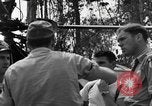 Standbild 10 Luft Dschungel Rescue Loslösung Birma, 1944, aus Sekunde 38 historischem Filmmaterial Videoclip 65675052231