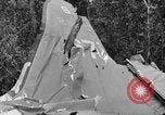 Immagine di Soldati statunitensi La Birmania, 1944, secondo 4 filmato di repertorio 65675052234
