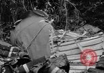 Immagine di Soldati statunitensi La Birmania, 1944, secondo 12 filmato di repertorio 65675052234