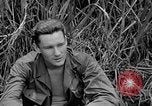 Immagine di Soldati statunitensi La Birmania, 1944, secondo 56 filmato di repertorio 65675052234