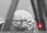 Image of Army Sikorsky YR-4B helicopter Burma, 1944, second 23 stock footage video 65675052236