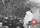 Image of wreckage of Japanese plane Burma, 1944, second 1 stock footage video 65675052238