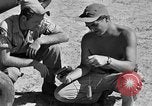 Image of L-5 plane Burma, 1945, second 34 stock footage video 65675052248