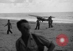 Immagine di L-5 Piper cub piani Palawan Filippine, 1941, secondo 22 filmato di repertorio 65675052252
