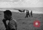 Immagine di L-5 Piper cub piani Palawan Filippine, 1941, secondo 25 filmato di repertorio 65675052252