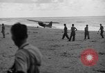 Immagine di L-5 Piper cub piani Palawan Filippine, 1941, secondo 27 filmato di repertorio 65675052252