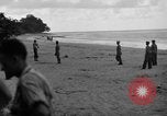 Immagine di L-5 Piper cub piani Palawan Filippine, 1941, secondo 35 filmato di repertorio 65675052252