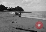 Standbild US Army Piloten fliegen Stinson L-5 Sentinal Flugzeug Palawan Philippinen, 1945, aus Sekunde 37 historischem Filmmaterial Videoclip 65675052254