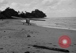 Standbild US Army Piloten fliegen Stinson L-5 Sentinal Flugzeug Palawan Philippinen, 1945, aus Sekunde 40 historischem Filmmaterial Videoclip 65675052254