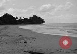 Standbild US Army Piloten fliegen Stinson L-5 Sentinal Flugzeug Palawan Philippinen, 1945, aus Sekunde 52 historischem Filmmaterial Videoclip 65675052254
