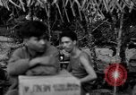 Immagine di L-5 Piper Cub piano Palawan Filippine, 1945, secondo 6 filmato di repertorio 65675052255