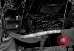Immagine di L-5 Piper Cub piano Palawan Filippine, 1945, secondo 10 filmato di repertorio 65675052255