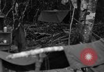 Immagine di L-5 Piper Cub piano Palawan Filippine, 1945, secondo 11 filmato di repertorio 65675052255