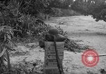 Immagine di L-5 Piper Cub piano Palawan Filippine, 1945, secondo 22 filmato di repertorio 65675052255