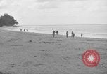 Immagine di L-5 Piper Cub piano Palawan Filippine, 1945, secondo 34 filmato di repertorio 65675052255