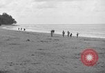 Immagine di L-5 Piper Cub piano Palawan Filippine, 1945, secondo 35 filmato di repertorio 65675052255