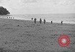 Immagine di L-5 Piper Cub piano Palawan Filippine, 1945, secondo 41 filmato di repertorio 65675052255