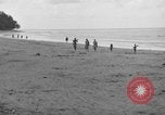 Immagine di L-5 Piper Cub piano Palawan Filippine, 1945, secondo 42 filmato di repertorio 65675052255