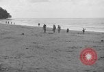 Immagine di L-5 Piper Cub piano Palawan Filippine, 1945, secondo 44 filmato di repertorio 65675052255