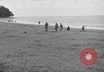 Immagine di L-5 Piper Cub piano Palawan Filippine, 1945, secondo 46 filmato di repertorio 65675052255