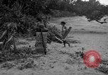 Immagine di L-5 Piper Cub piano Palawan Filippine, 1945, secondo 48 filmato di repertorio 65675052255