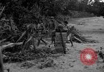 Immagine di L-5 Piper Cub piano Palawan Filippine, 1945, secondo 49 filmato di repertorio 65675052255