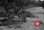 Immagine di L-5 Piper Cub piano Palawan Filippine, 1945, secondo 50 filmato di repertorio 65675052255