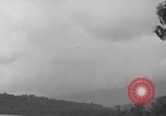Immagine di L-5 Piper Cub piano Palawan Filippine, 1945, secondo 56 filmato di repertorio 65675052255