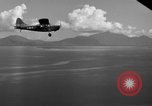 Image L-5 Piper Cub avion PALAWAN PHILIPPINES, 1941, de la seconde 28 séquences d'archives historiques vidéo 65675052256
