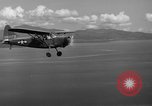 Image L-5 Piper Cub avion PALAWAN PHILIPPINES, 1941, de la seconde 41 séquences d'archives historiques vidéo 65675052256