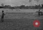 Image L-5 Piper Cub planes PALAWAN PHILIPPINES, 1945, de la seconde 27 séquences d'archives historiques vidéo 65675052257